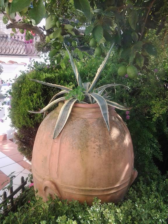 B&B Angelide Anacapri  Zewnętrze zdjęcie