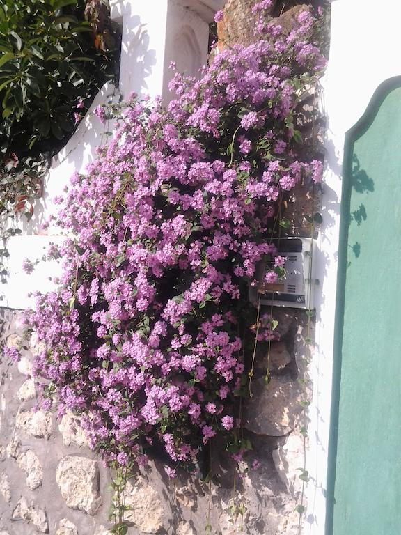 B&B Angelide Anacapri  Zewnętrze zdjęcie